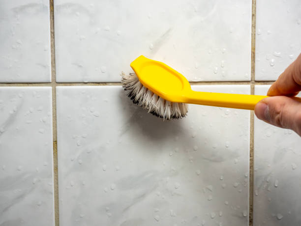 Best Emergency Mold Removal  in Lo, HI