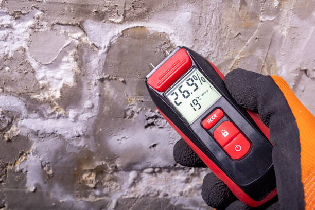 Best Toxic Mold Removal  in Lo, HI