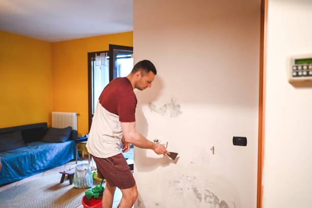 Best Fast Mold Removal  in Lo, HI
